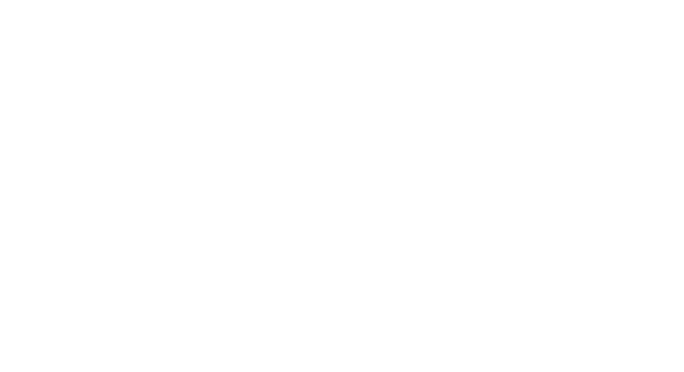 VWE - Cosentino Winery's Logo