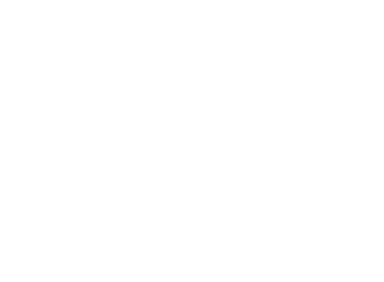 VWE - Cosentino Winery's Logo
