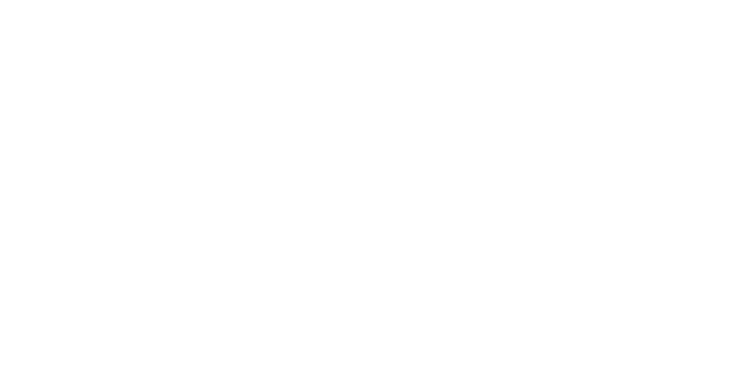 VWE - No. 209 Gin's Logo