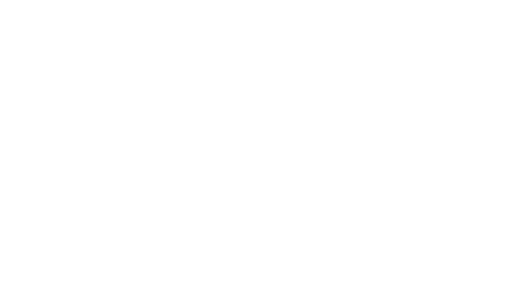 VWE - Viansa's Logo