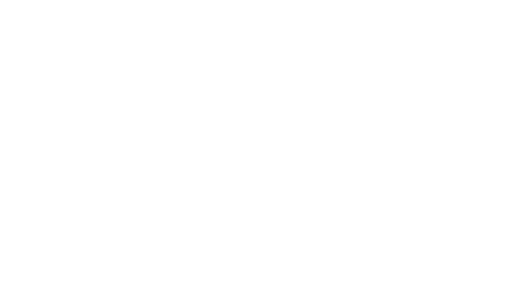 VWE - Bar Dog's Logo