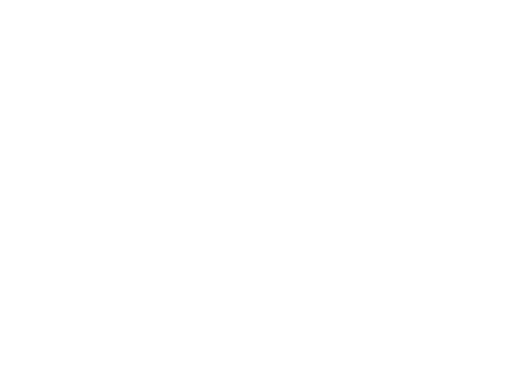 VWE - Cameron Hughes's Logo