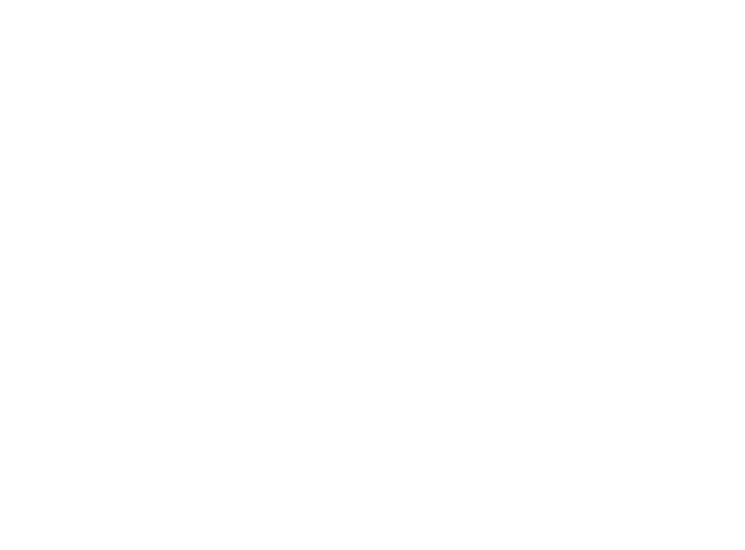 VWE - Cherry Pie's Logo
