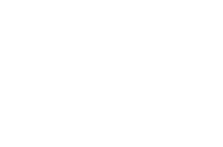 VWE - Girard Winery's Logo