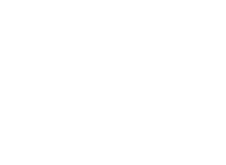 VWE - Girard Winery's Logo
