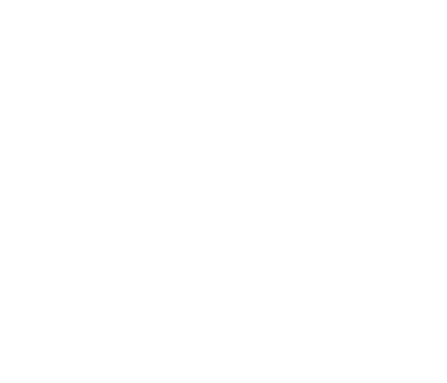 VWE - Laetitia's Logo