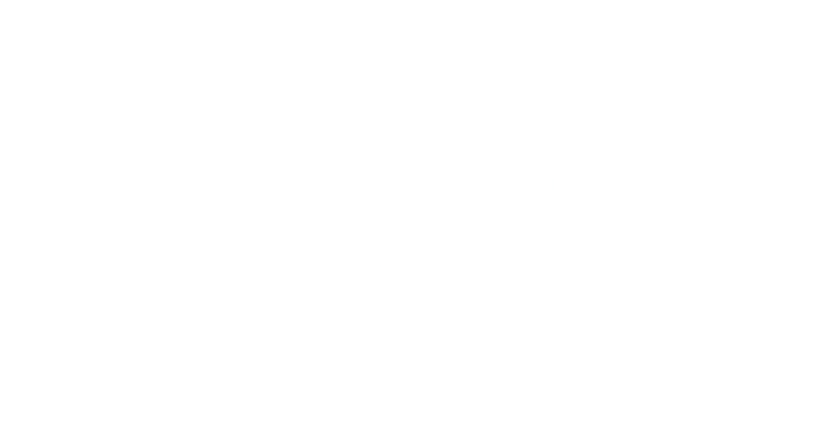 VWE - Layer Cake's Logo