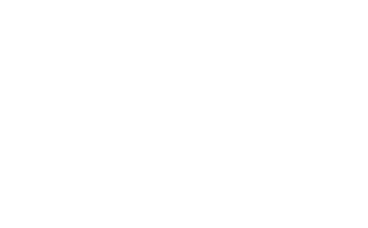 VWE - Owen Roe's Logo