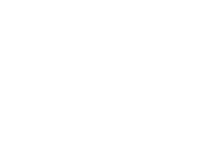 VWE - The Splinter Group's Logo