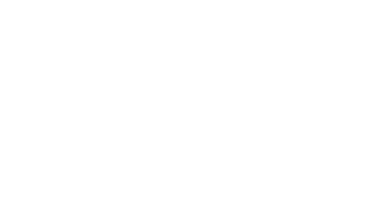 VWE - Vinesse's Logo