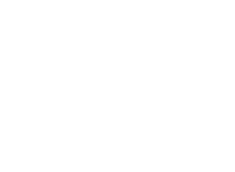 VWE - Vinesse's Logo