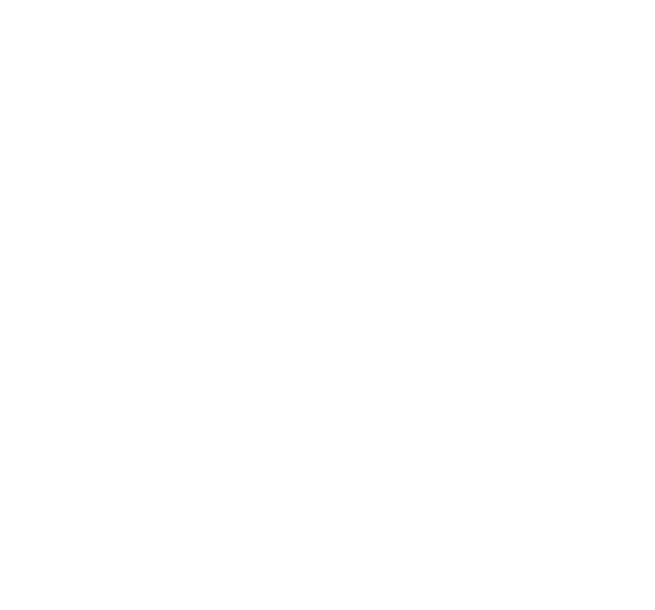 VWE - Buried Cane Wines's Logo