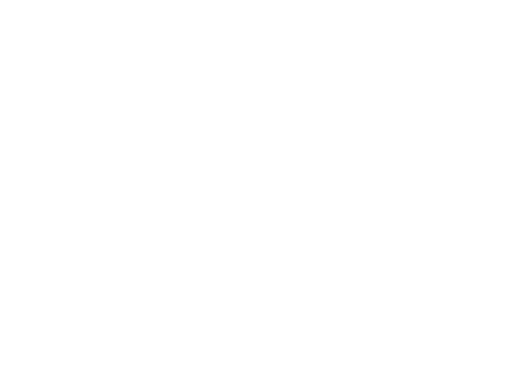 VWE - Girl & Dragon's Logo